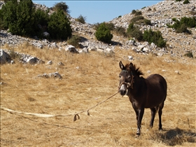 Llogarë průsmyk (1027m)